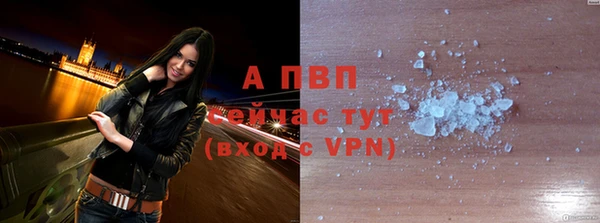 прущие грибы Семикаракорск