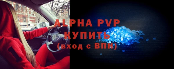 прущие грибы Семикаракорск