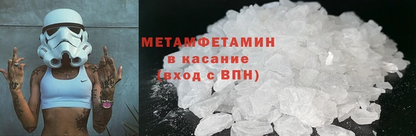 прущие грибы Семикаракорск
