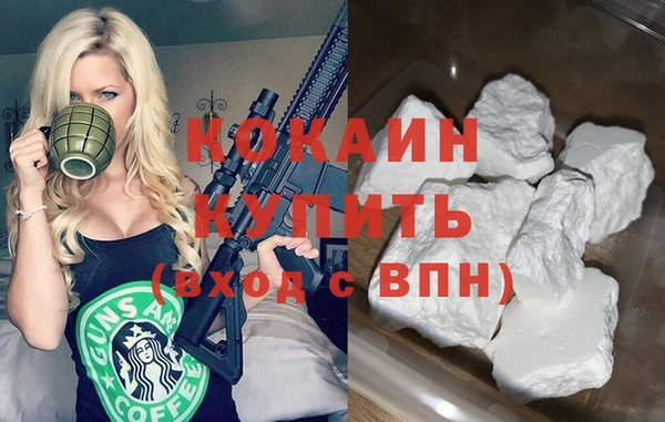 прущие грибы Семикаракорск