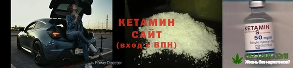прущие грибы Семикаракорск