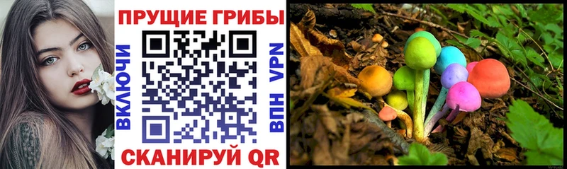 Галлюциногенные грибы Psilocybe  купить закладку  Москва 