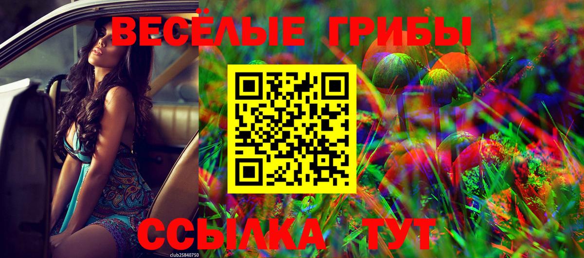 Галлюциногенные грибы ЛСД Москва