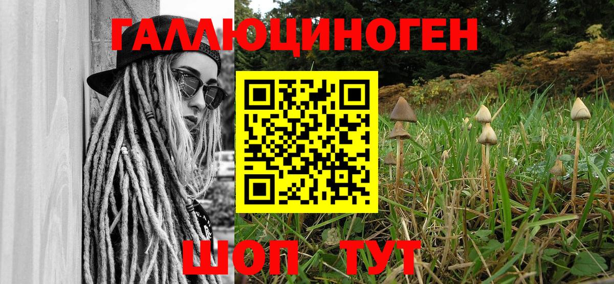 где продают   Псилоцибиновые грибы ЛСД  Галлюциногенные грибы Psilocybe  Вход с VPN  Москва 